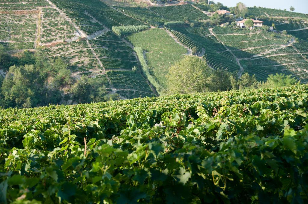 Cadgal - Tenuta Valdivilla Санто-Стефано-Бельбо Екстер'єр фото